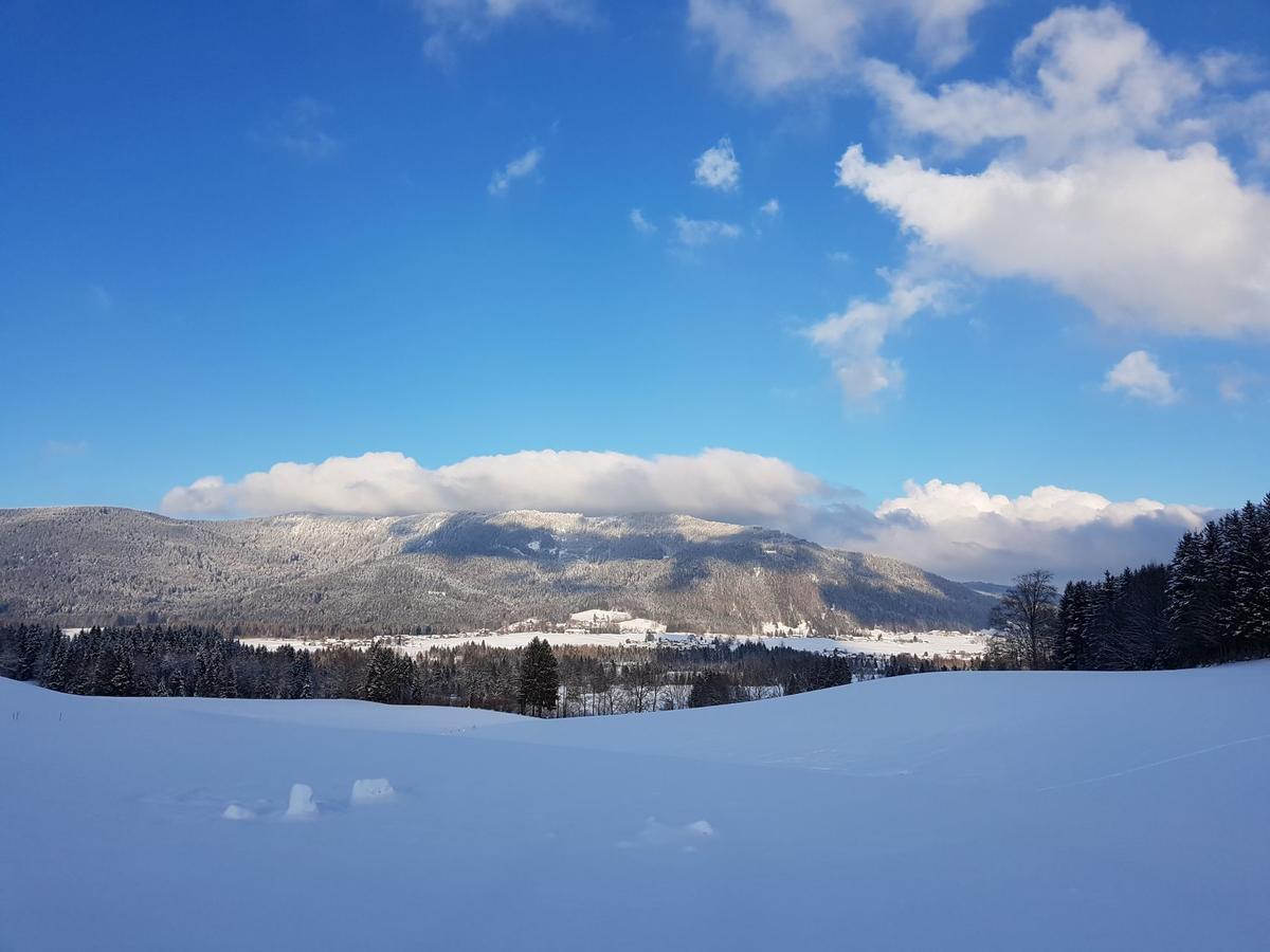 Ferienhaus Chiemgauer Auszeit- Chiemgaukarte Inclusive Siegsdorf Buitenkant foto