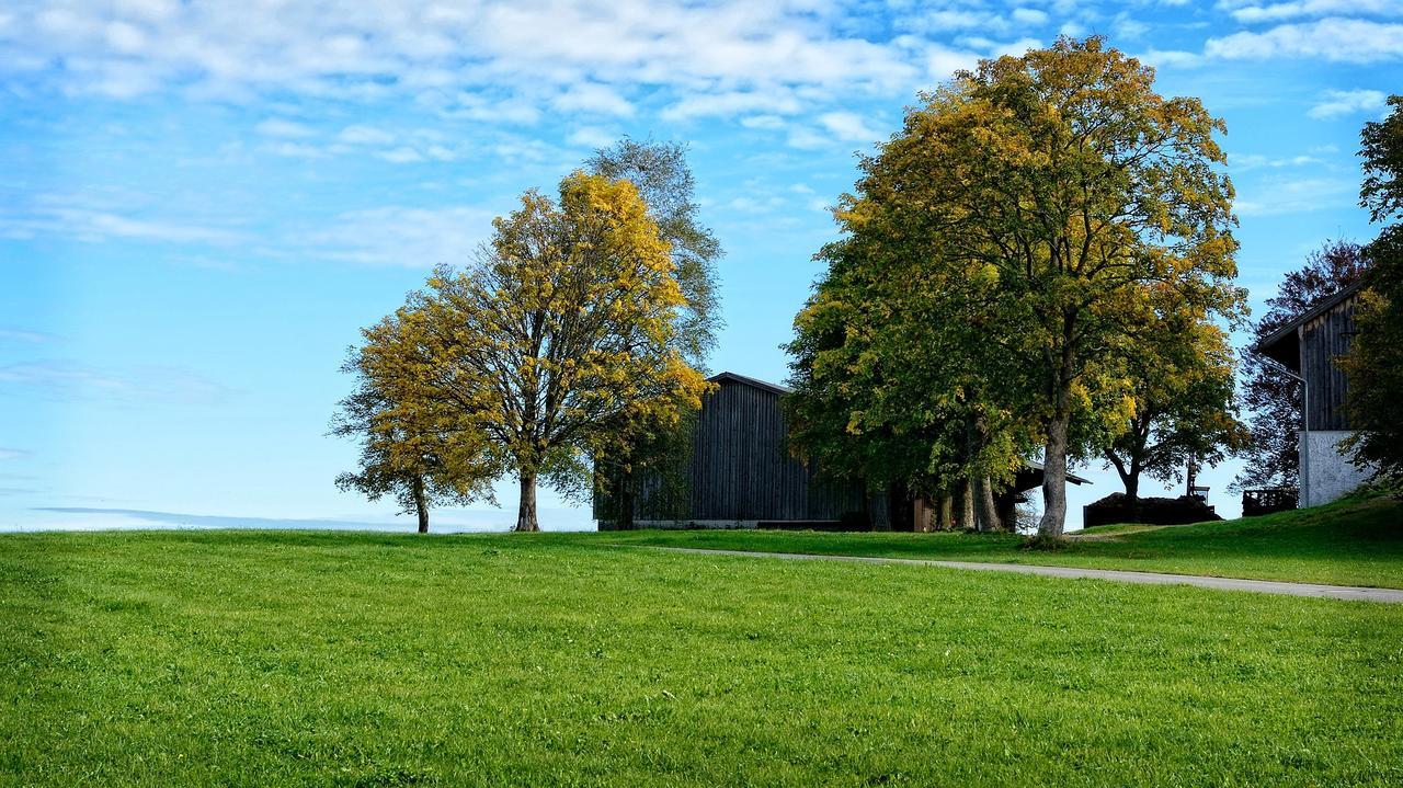 Ferienhaus Chiemgauer Auszeit- Chiemgaukarte Inclusive Siegsdorf Buitenkant foto